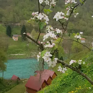 Smještaj Adventure Tara, fotografija 19