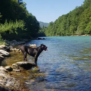 Smještaj Adventure Tara, fotografija 23